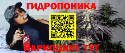гашик Рыбинск