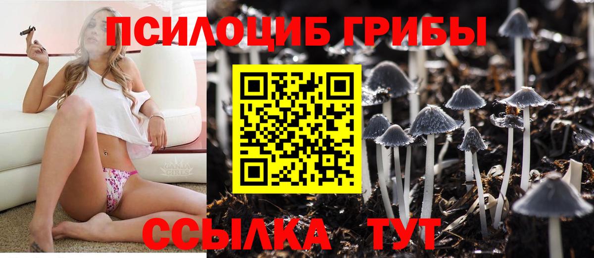 Галлюциногенные грибы Magic Shrooms  Вход с VPN  Солнечногорск  Галлюциногенные грибы MAGIC MUSHROOMS 