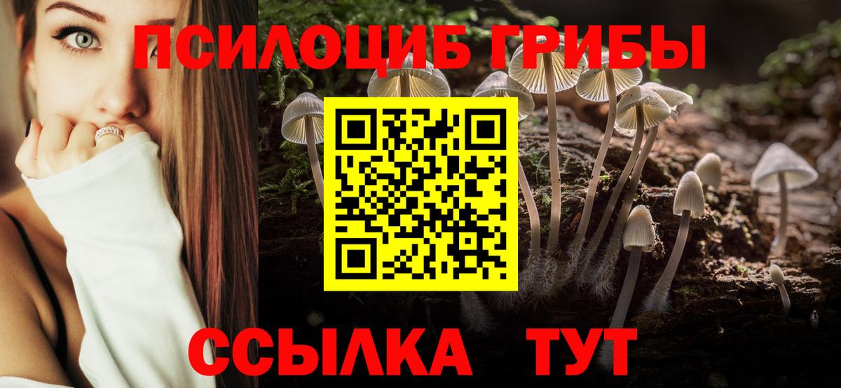 Псилоцибиновые грибы ЛСД Солнечногорск